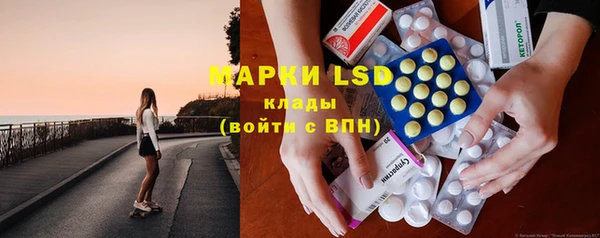 ГАЛЛЮЦИНОГЕННЫЕ ГРИБЫ Надым