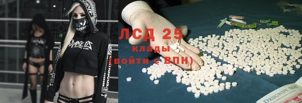 крисы Наволоки