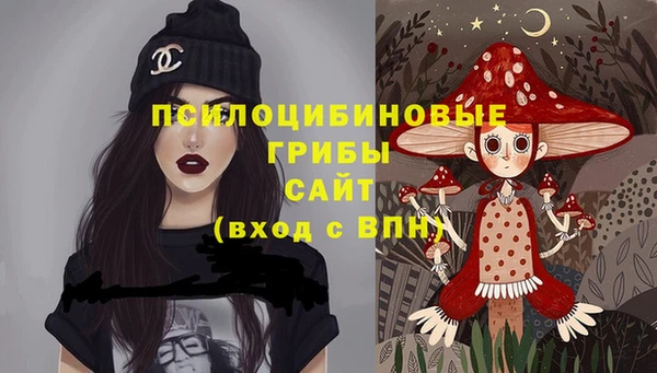 крисы Наволоки