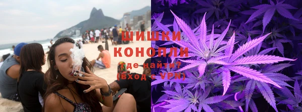 ГАЛЛЮЦИНОГЕННЫЕ ГРИБЫ Надым
