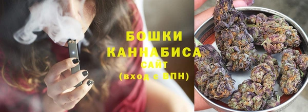 ГАЛЛЮЦИНОГЕННЫЕ ГРИБЫ Надым