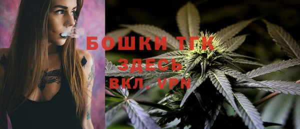 ГАЛЛЮЦИНОГЕННЫЕ ГРИБЫ Надым