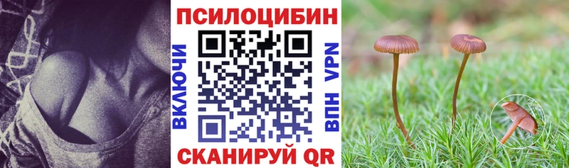 купить наркотик  Тамбов  Галлюциногенные грибы Cubensis 